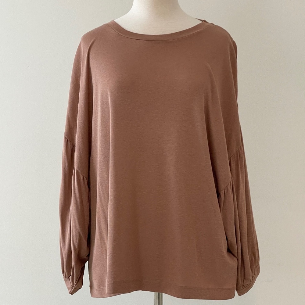 Brown Dolman Sleeve